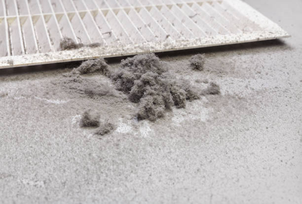 Best Ductwork Cleaning Services  in Chaska, MN