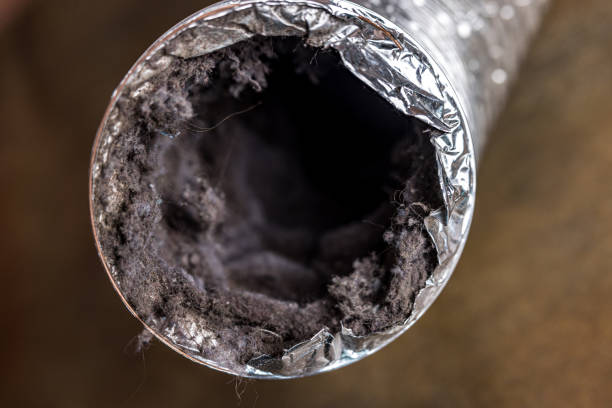 Best Best Air Duct Cleaning Company  in Chaska, MN