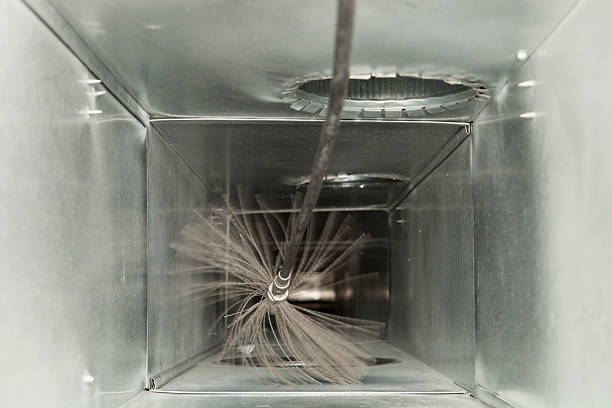 Best Air Duct Mold Removal  in Chaska, MN