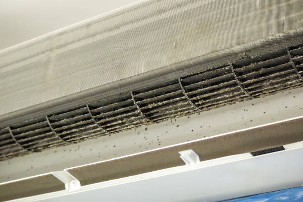Best HVAC System Cleaning  in Chaska, MN