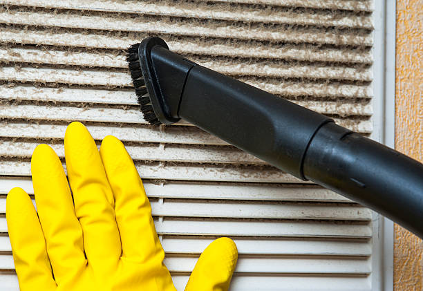 Best HVAC Duct Inspection Services  in Chaska, MN